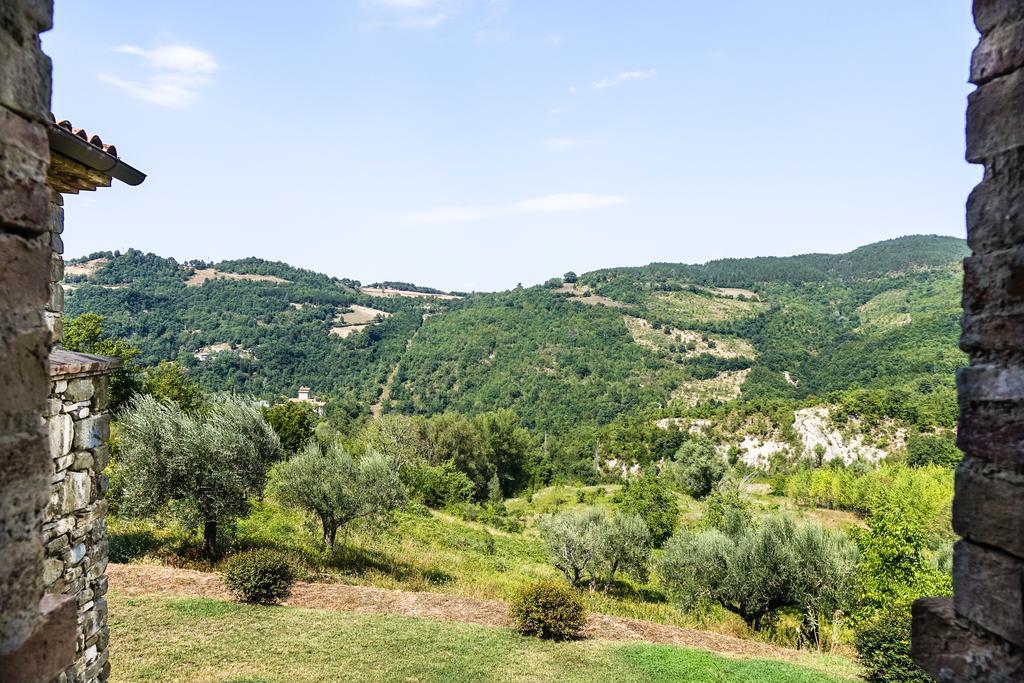 Agriturismo Montelovesco Brunetta Номер фото