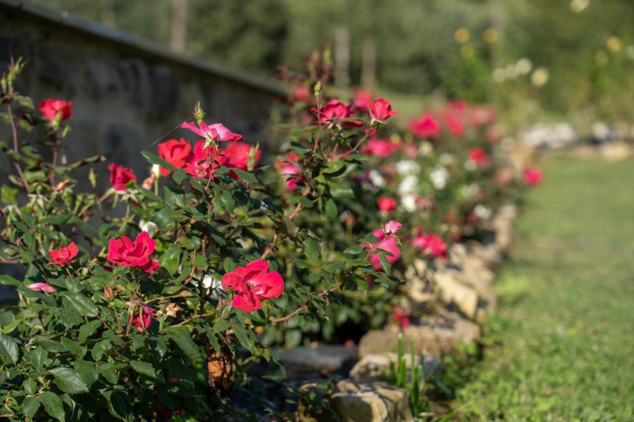Agriturismo Montelovesco Brunetta Екстер'єр фото
